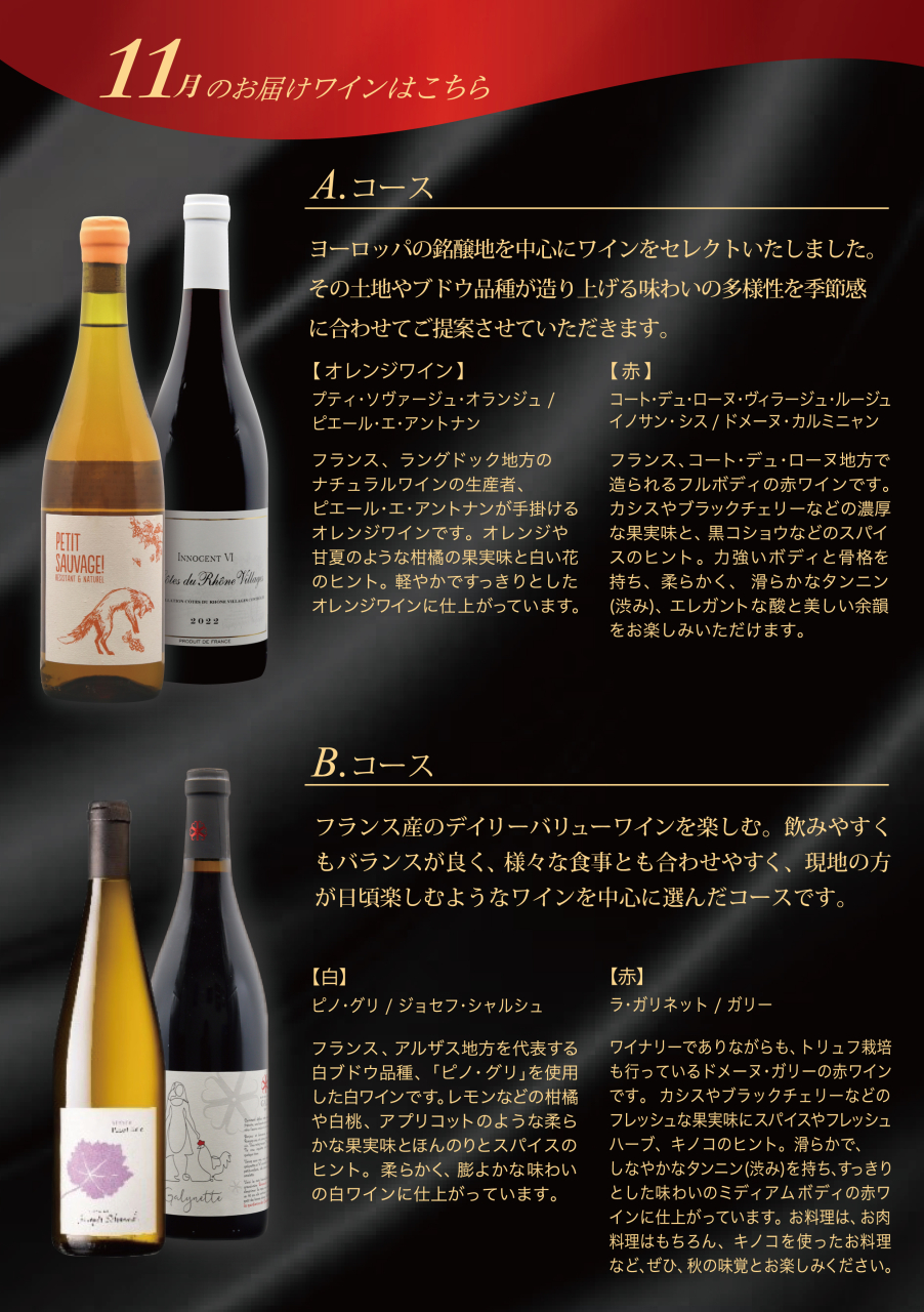 2025-Web-11月のワイン