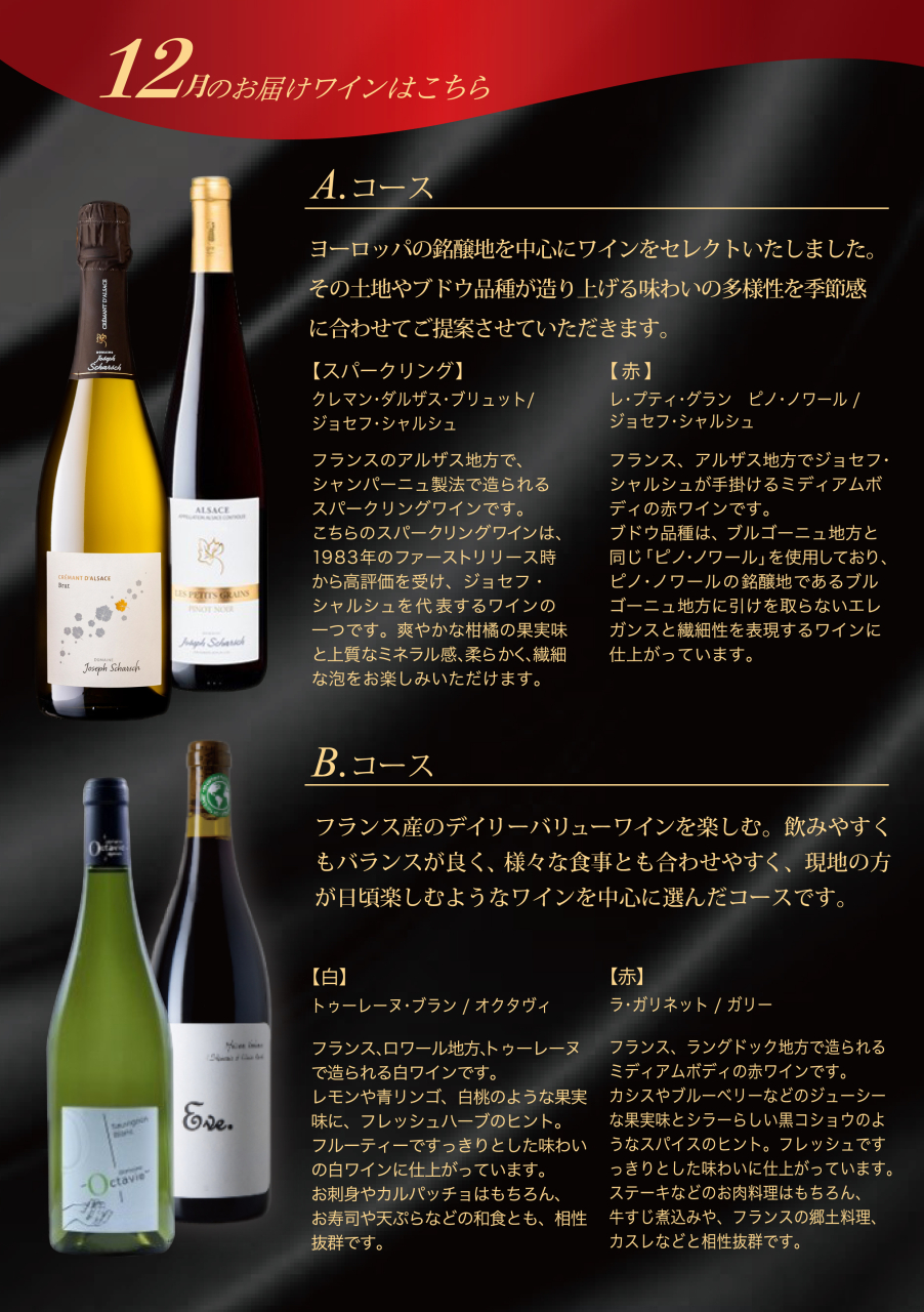 2024-Web-12月のワイン